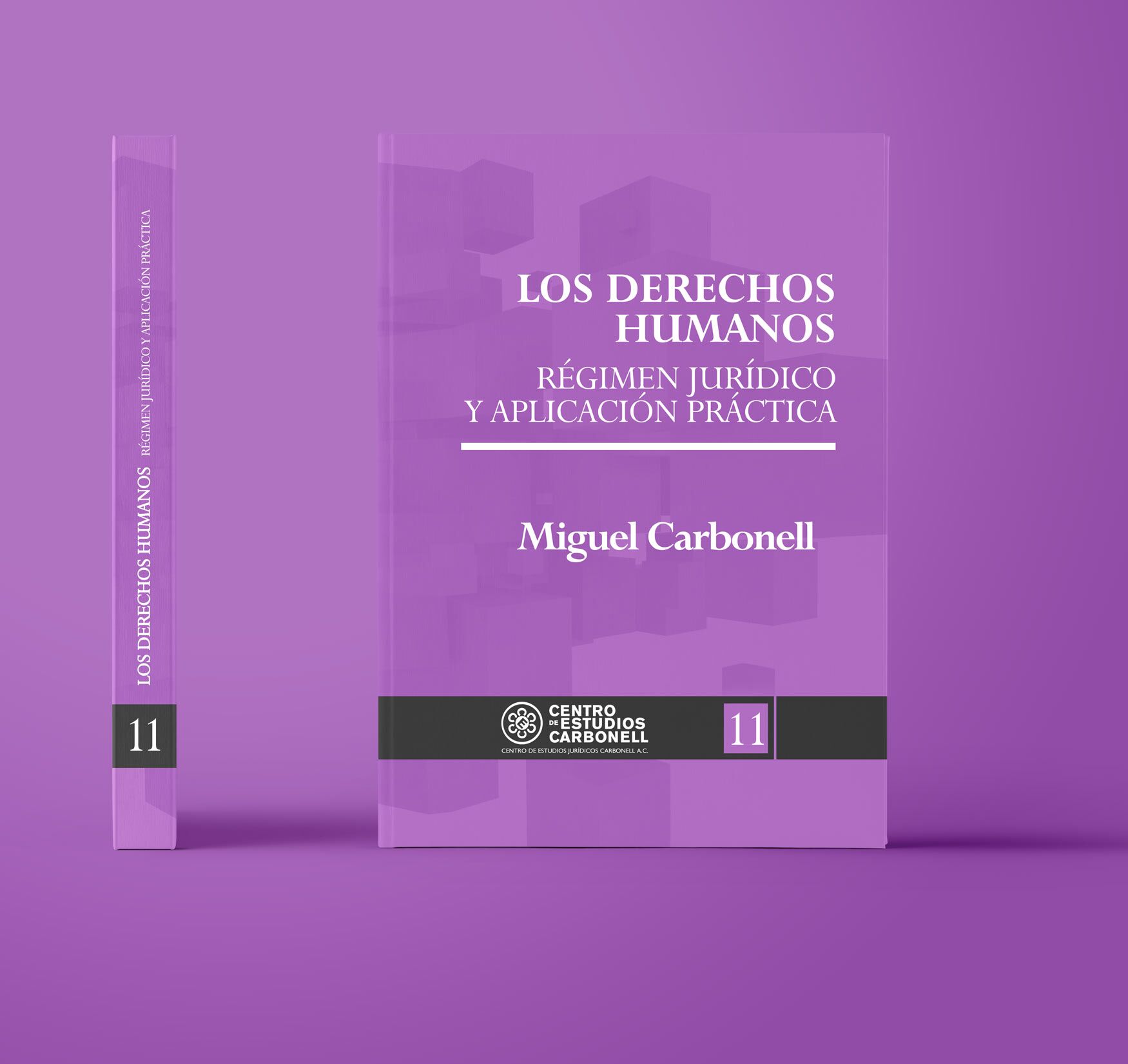 Los Derechos Humanos. Régimen Jurídico y Aplicación Práctica.