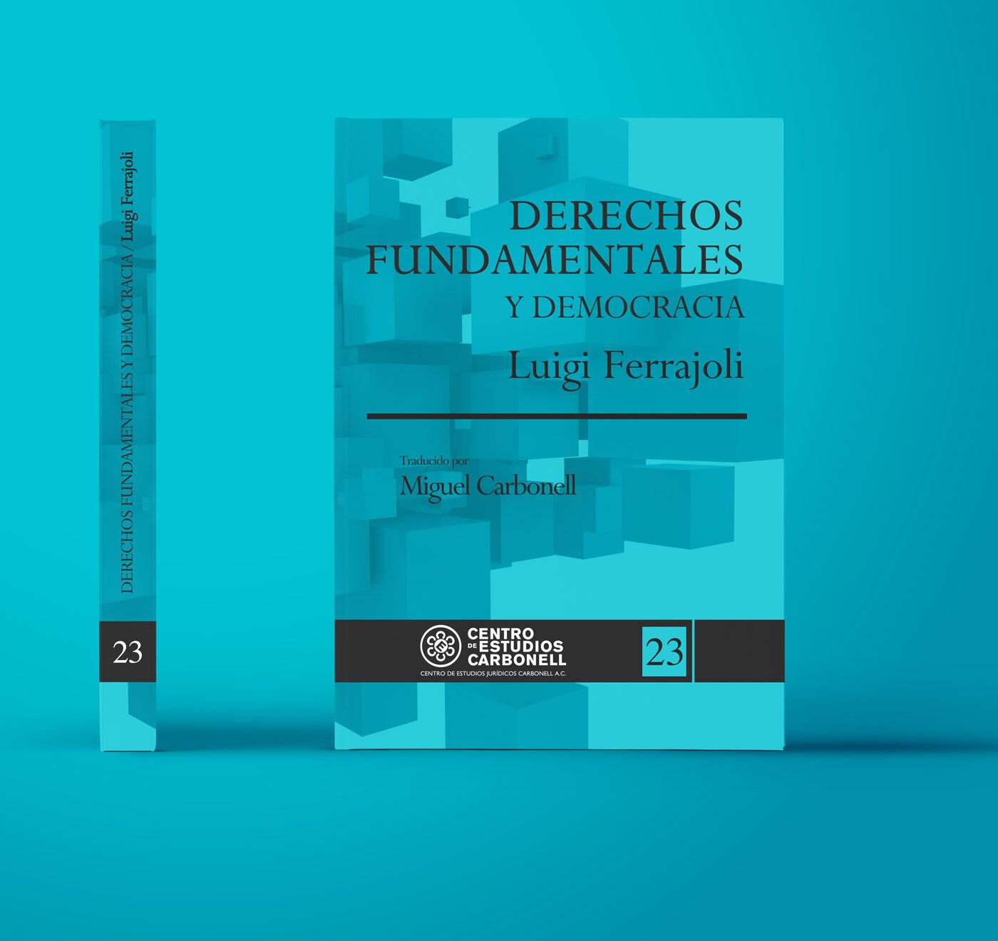 Derechos Fundamentales y Democracia