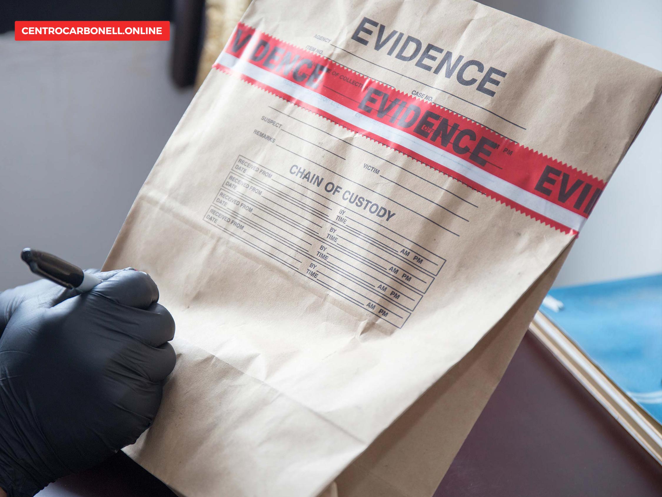 Cómo incorporar prueba documental y material en el proceso penal