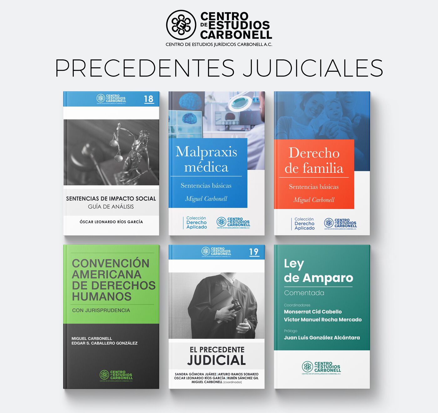 Paquete Precedentes Judiciales